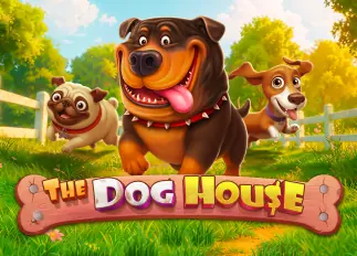 ufa222 The Dog House ทดลองเล่นฟรี